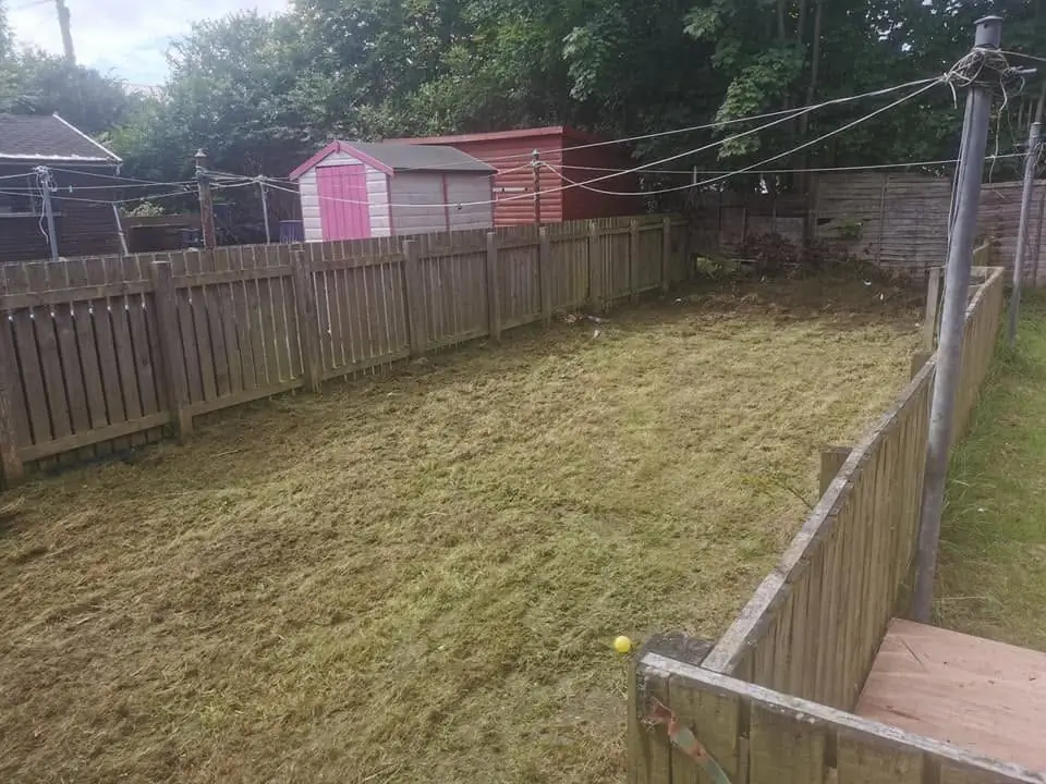 The same back garden cut short and cleared, the pink shed behind