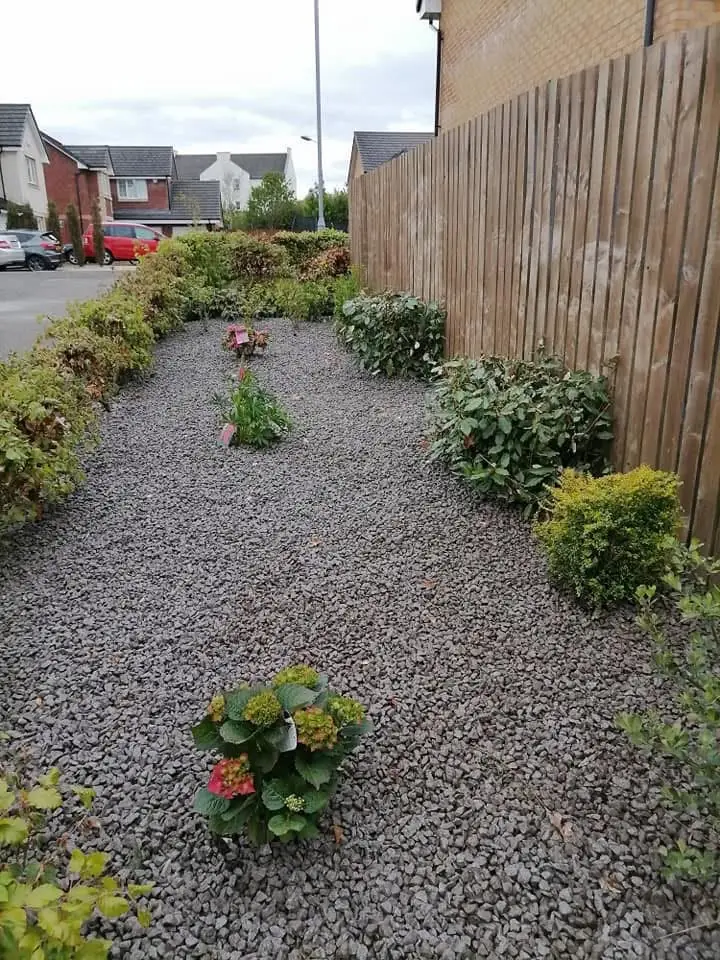 The same border cleared and finished in grey gravel with new shrubs and plants