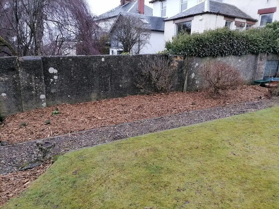 A bark-mulched border along a stone wall