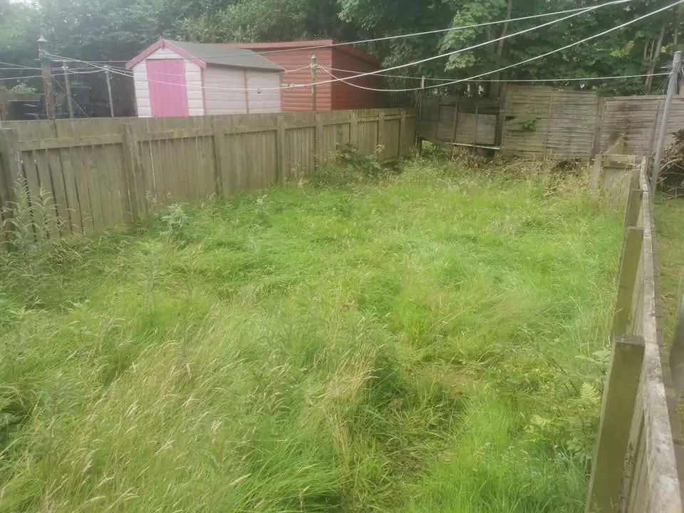 A back garden with long, overgrown grass by a fence and a pink shed