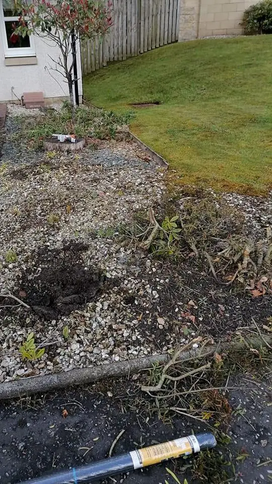 A weedy, dug-over gravel border by a front door