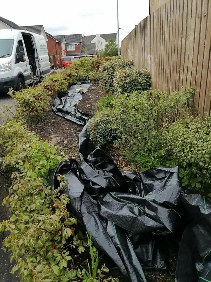 An overgrown side border by a timber fence, with black weed membrane laid out