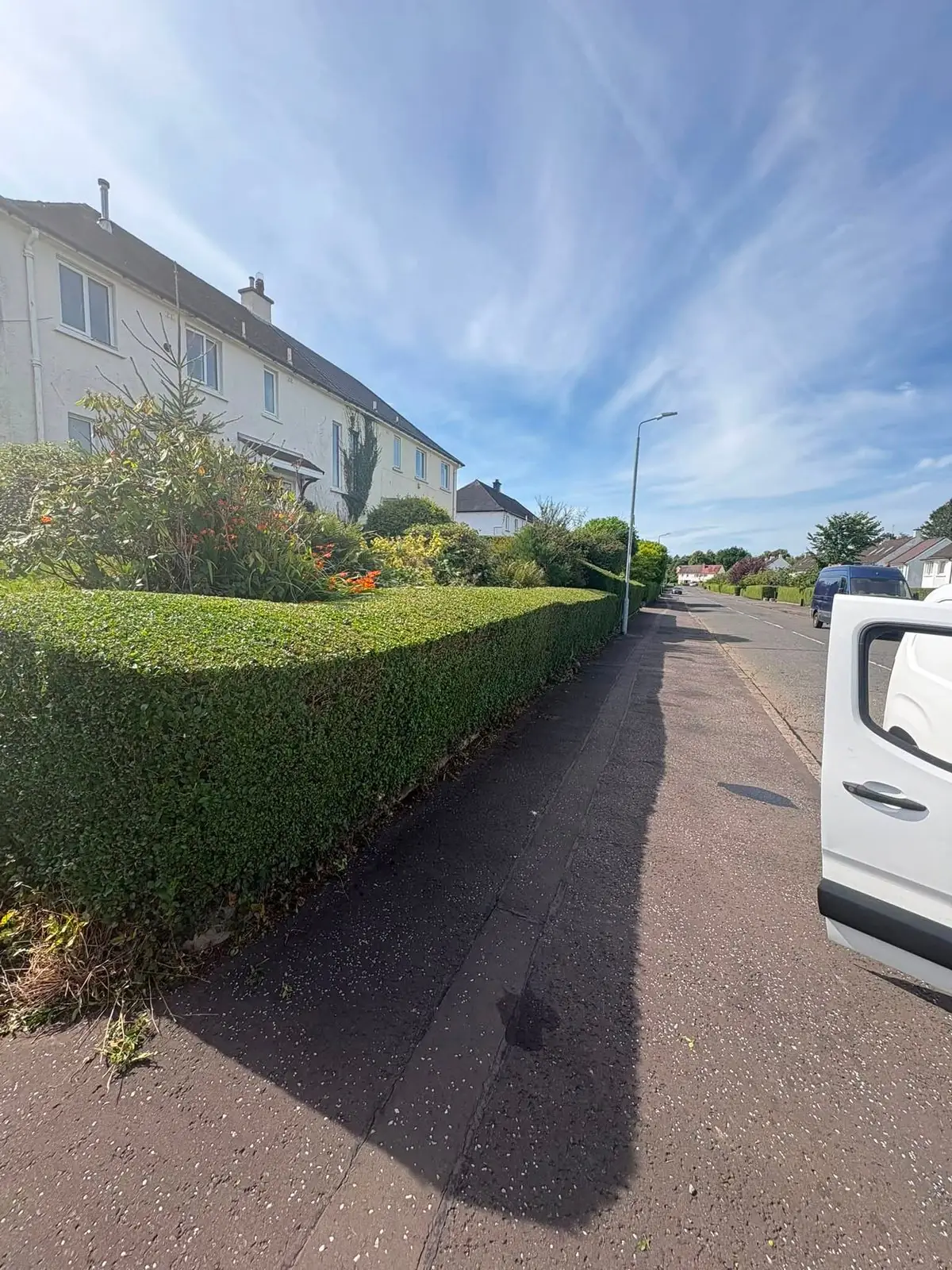 A neatly clipped hedge along a pavement