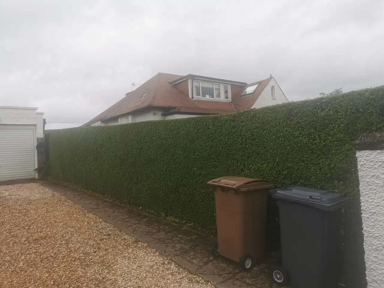 A very tall hedge trimmed flat and square