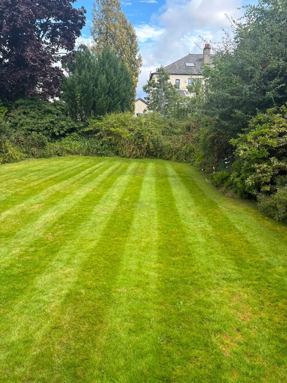 An evenly striped back lawn with mature trees and shrubs and a house beyond